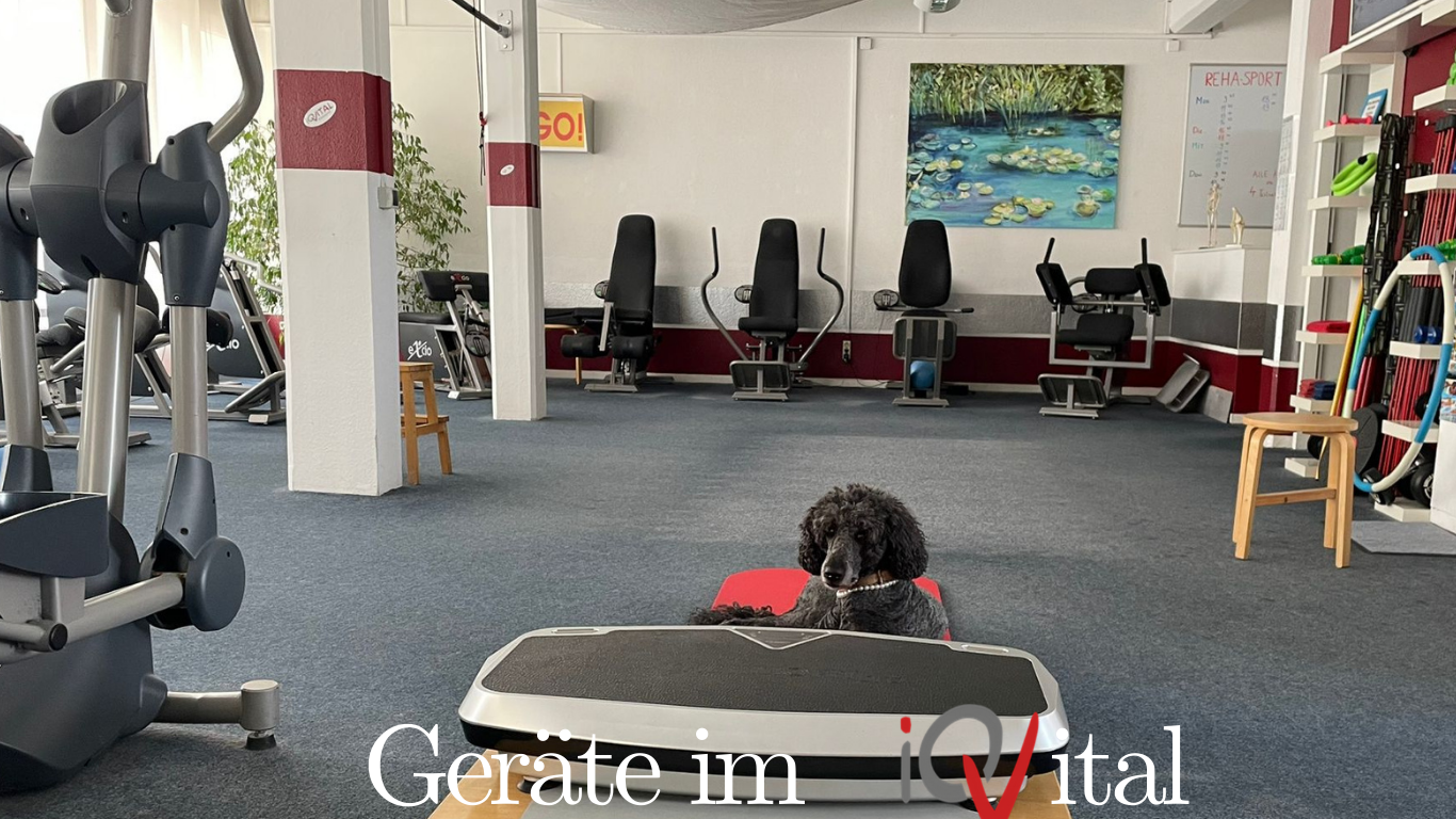 Geräte im IQ Vital Gudensberg